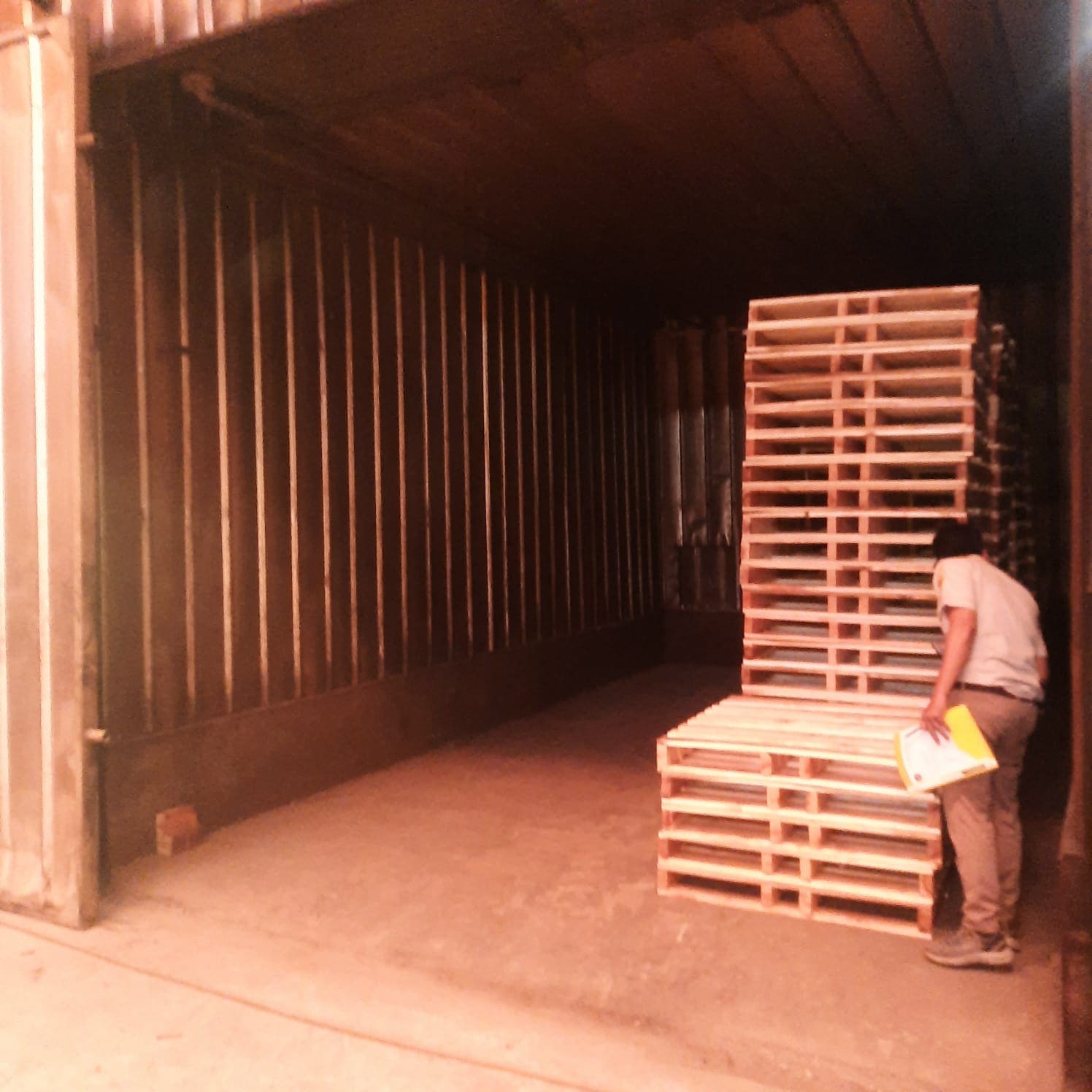 Pentingnya Penanganan Kayu Palet